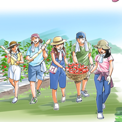 絵コンテカラー